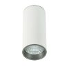 Oświetlenie Italux Moldes Big WH/GR Ceiling 4000K SLC7392/12W 4000K WH+GR