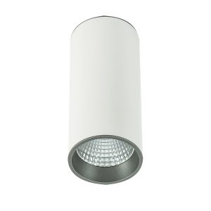 Oświetlenie Italux Moldes Big WH/GR Ceiling 4000K SLC7392/12W 4000K WH+GR