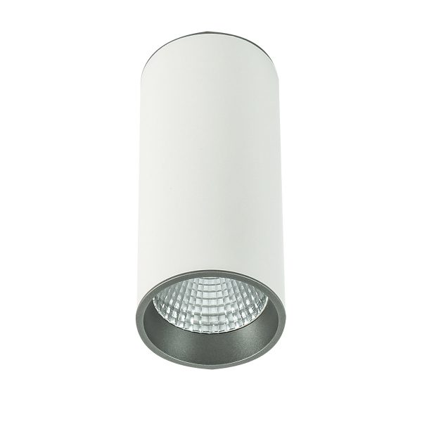Oświetlenie Italux Moldes Big WH/GR Ceiling 4000K SLC7392/12W 4000K WH+GR